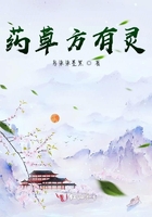 沈秀茹陈平的小说