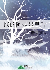 快乐酷宝第三季免费观看完整版