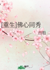 暗黑破坏神之暗影游侠