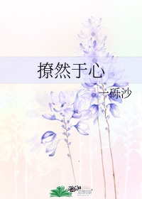 野花日本电影高清完整版免费观看