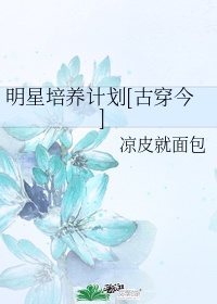 丁丁视频