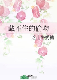 学米芾书法家