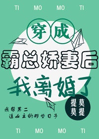 冲田杏梨作品封面