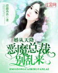 办公室婚外情 完整版