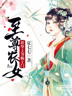 无贼电视剧全集48集免费播放