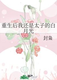 春花秋月小说