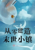 猫咪官方官网