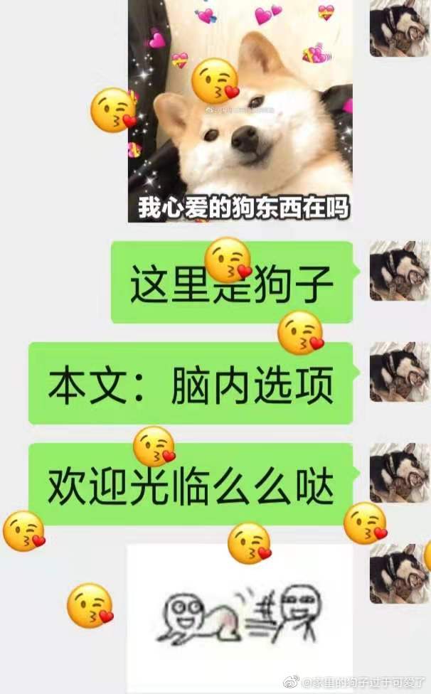 柔情似水赵雅儿