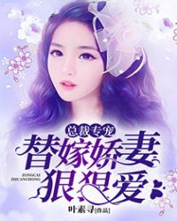 小城后妈 小说阅读