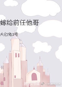 美丽教师苏雅琴第6章