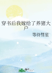 官场女人杨雪张红