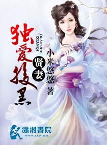 宸汐缘 小说