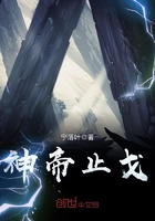 魔道祖师陈情play