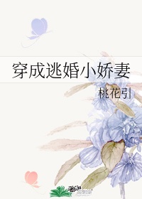 《不婚》作者:茶茶好萌