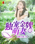 学米芾书法家