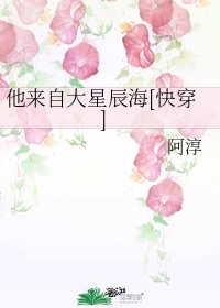 我是高中放荡女h文