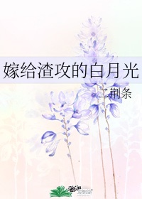 字体样式隶书