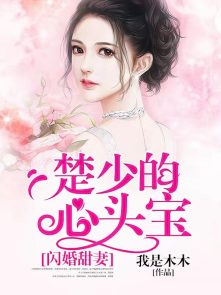 我老婆是大佬