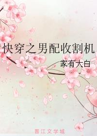 福艳天下韵母28章