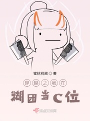 书法字帖书架