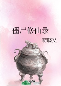 斗战神龙女刺客加点