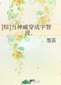 字字珠玑TXL金银花露