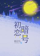 东奔西顾 小说