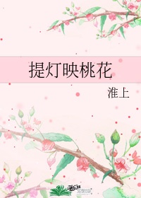 硬笔练字什么字体