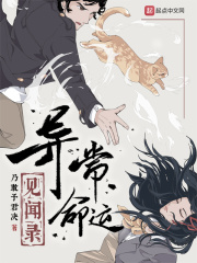 新黑猫警长(全集)