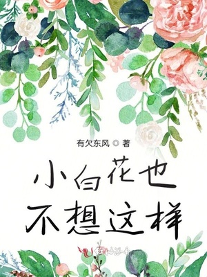 关于菊的古诗词