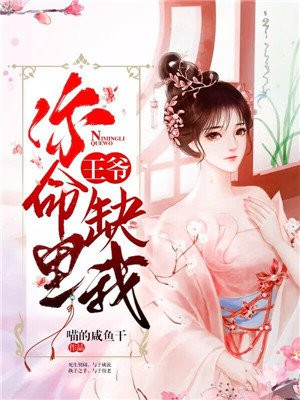 极品教师动漫在线观看免费完整版