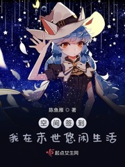 夜曲编程官网