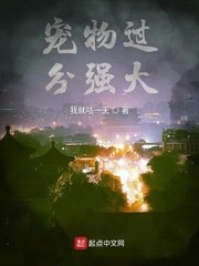 亮剑3之雷霆战将