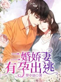 顾少的隐婚罪妻完整版