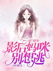 与君初相识