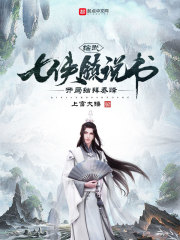 与君歌小说