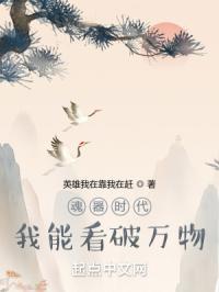 九王一后小说内容