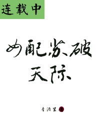 成人书法字帖