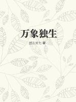 无敌寂寞君逍遥小说