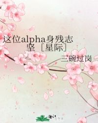 征服杨家将寡妇