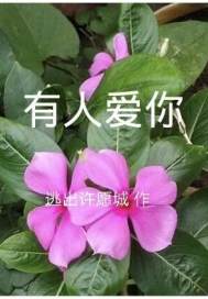 隶书字帖赵