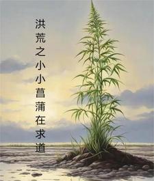 古诗词浣溪沙的格式