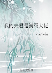 听雁有感全文