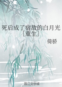 金瓶玉梅1在线观看完整免费