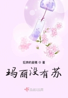 蜜蜂矿池