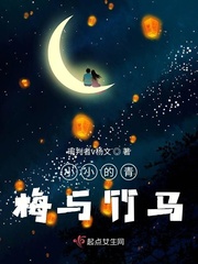 洗浴屋先生无删减