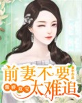 离婚申请漫画