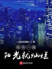 香港新版金银瓶1-5