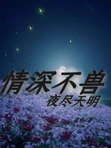 美丽的他一共多少集