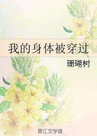 我是传奇小说